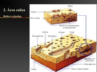 2. Área caliza2. Área caliza
Relieve cársticoRelieve cárstico
 
