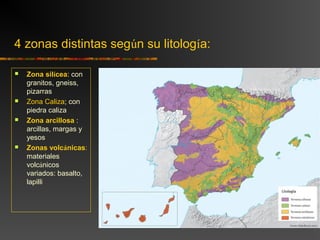 4 zonas distintas según su litología:
 Zona silícea: con
granitos, gneiss,
pizarras
 Zona Caliza; con
piedra caliza
 Zona arcillosa :
arcillas, margas y
yesos
 Zonas volcánicas:
materiales
volcánicos
variados: basalto,
lapilli
 