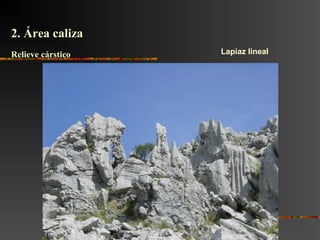 Lapiaz lineal
2. Área caliza2. Área caliza
Relieve cársticoRelieve cárstico
 