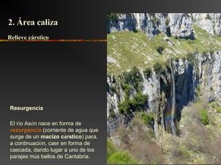 El río Asón nace en forma de
resurgencia (corriente de agua que
surge de un macizo cárstico) para,
a continuación, caer en forma de
cascada, dando lugar a uno de los
parajes más bellos de Cantabria.
Resurgencia
2. Área caliza2. Área caliza
Relieve cársticoRelieve cárstico
 
