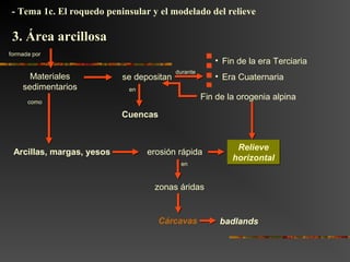 durante
formada por
se depositan
• Fin de la era Terciaria
• Era Cuaternaria
como
Materiales
sedimentarios
Arcillas, margas, yesos
Fin de la orogenia alpina
erosión rápida Relieve
horizontal
Relieve
horizontal
en
zonas áridas
Cárcavas badlands
- Tema 1c. El roquedo peninsular y el modelado del relieve
3. Área arcillosa3. Área arcillosa
en
Cuencas
 