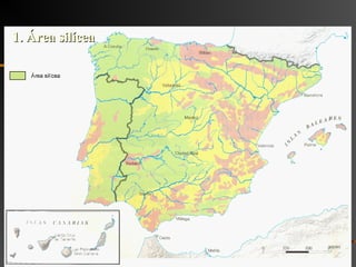 1. Área silícea1. Área silícea
 