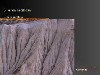Cárcavas
3. Área arcillosa3. Área arcillosa
Relieve arcillosoRelieve arcilloso
 