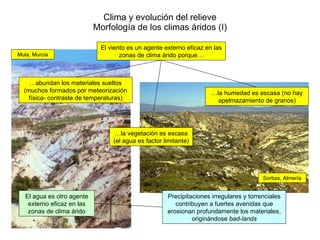 Clima y evolución del relieve Morfología de los climas áridos (I) El viento es un agente externo eficaz en las zonas de clima árido porque… … abundan los materiales sueltos (muchos formados por meteorización física- contraste de temperaturas) … la vegetación es escasa (el agua es factor limitante) … la humedad es escasa (no hay apelmazamiento de granos) Precipitaciones irregulares y torrenciales contribuyen a fuertes avenidas que erosionan profundamente los materiales, originándose  bad-lands El agua es otro agente externo eficaz en las zonas de clima árido Sorbas, Almería Mula, Murcia 