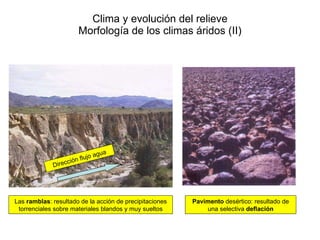 Clima y evolución del relieve Morfología de los climas áridos (II) Las  ramblas : resultado de la acción de precipitaciones torrenciales sobre materiales blandos y muy sueltos Pavimento  desértico: resultado de una selectiva  deflación Dirección flujo agua 