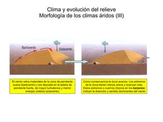 Clima y evolución del relieve Morfología de los climas áridos (III) El viento retira materiales de la zona de pendiente suave (barlovento) y los deposita en la ladera de pendiente fuerte, de mayor turbulencia y menor energía cinética (sotavento) Como consecuencia la duna avanza. Los extremos de la duna tienen menos arena y avanzan más. Estos extremos o cuernos (típicos en los  barjanes ) indican la dirección y sentido dominantes del viento 