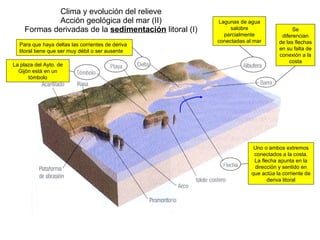Clima y evolución del relieve Acción geológica del mar (II) Formas derivadas de la  sedimentación  litoral (I) Uno o ambos extremos conectados a la costa. La flecha apunta en la dirección y sentido en que actúa la corriente de deriva litoral Se diferencian de las flechas en su falta de conexión a la costa Lagunas de agua salobre parcialmente conectadas al mar Para que haya deltas las corrientes de deriva litoral tiene que ser muy débil o ser ausente La plaza del Ayto. de Gijón está en un tómbolo 