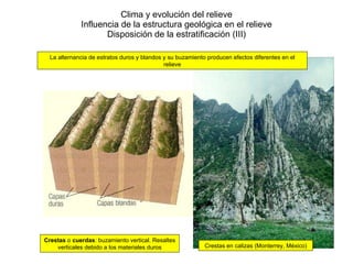 Clima y evolución del relieve Influencia de la estructura geológica en el relieve Disposición de la estratificación (III) Crestas  o  cuerdas : buzamiento vertical. Resaltes verticales debido a los materiales duros Crestas en calizas (Monterrey, México) La alternancia de estratos duros y blandos y su buzamiento producen efectos diferentes en el relieve 