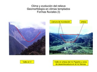 Clima y evolución del relieve Geomorfología en climas templados Formas fluviales (I) Valle en artesa del río Pigüeña y zona de desembocadura en el río Narcea Valle en V Llanura de inundación artesa 