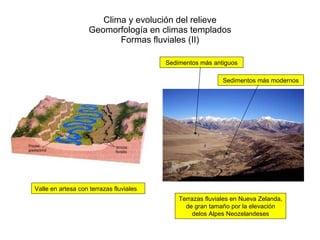 Clima y evolución del relieve Geomorfología en climas templados Formas fluviales (II) Valle en artesa con terrazas fluviales Terrazas fluviales en Nueva Zelanda, de gran tamaño por la elevación delos Alpes Neozelandeses Sedimentos más antiguos Sedimentos más modernos 