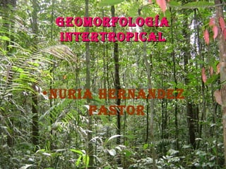 GeomorfoloGíaGeomorfoloGía
IntertropIcalIntertropIcal
•nurIa Hernandez
pastor
 