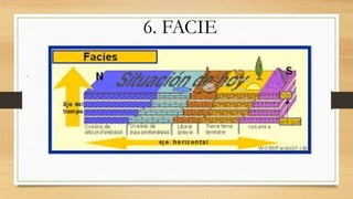 6. FACIE
.
 