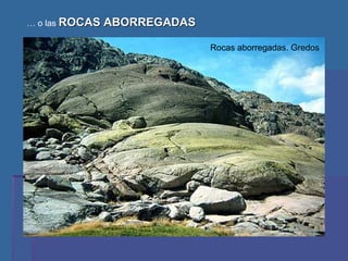 …  o las  ROCAS ABORREGADAS Rocas aborregadas. Gredos 