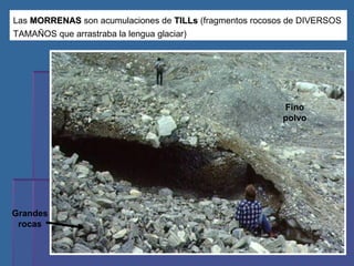 Las  MORRENAS  son acumulaciones de  TILLs  (fragmentos rocosos de DIVERSOS TAMAÑOS que arrastraba la lengua glaciar) Fino polvo Grandes rocas 