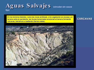 Aguas Salvajes  (circulan sin cauce fijo) CÁRCAVAS 