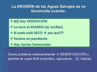 La EROSIÓN de las Aguas Salvajes se ve favorecida cuando: NO  hay VEGETACIÓN La roca es BLANDA (ej: arcillas) El suelo está SECO    por qué?? Terreno en pendiente Hay Lluvias Torrenciales Grave problema medioambiental    DESERTIZACIÓN y pérdida de suelo fértil (incendios, agricultura… Ej: Galicia) 