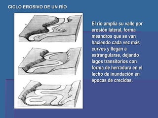 CICLO EROSIVO DE UN RÍO El río amplía su valle por erosión lateral, forma meandros que se van haciendo cada vez más curvos y llegan a estrangularse, dejando lagos transitorios con forma de herradura en el lecho de inundación en épocas de crecidas. 