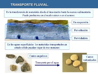 TRANSPORTE FLUVIAL.  