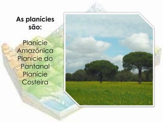 As planícies
    são:

  Planície
Amazônica
Planície do
 Pantanal
  Planície
 Costeira
 