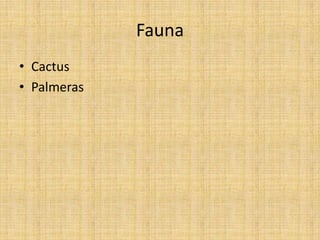 Fauna
• Cactus
• Palmeras
 