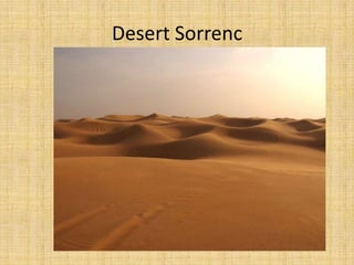 Desert Sorrenc
 