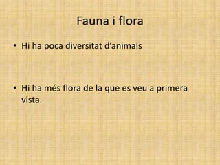 Fauna i flora
• Hi ha poca diversitat d’animals
• Hi ha més flora de la que es veu a primera
vista.
 