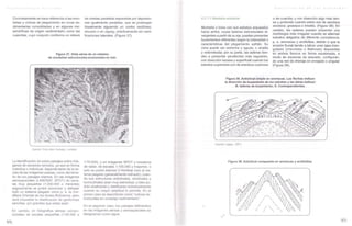 Autocad Report.pdf Comprehensive Study of Geomorphology and Soil Zoning in Colombia | PDF