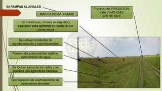 B) PAMPAS ALUVIALES
Son espacios de acumulaciones de
sedimentos aluviales
Se forman cerca de los valles y se
practica una agricultura intensiva
Poseen alta potencialidad edáfica,
pero carecen de agua
Se cultivan productos de
agroexportación y agroindustriales
Se construyen canales de regadío y
trasvases para alimentar el caudal de las
zonas secas
Proyecto de IRRIGACION:
CHA VI MO CHIC
CHI NE CA S
MAS EXTENSA: OLMOS
 