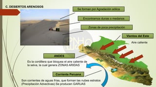 C. DESIERTOS ARENOSOS
Se forman por Agradación eólica
Encontramos dunas o medanos
Zonas de poca precipitación
Corriente Peruana
Son corrientes de aguas frías, que forman las nubes estratos
(Precipitación Advectivas) Se producen GARUAS
Vientos del Este
Aire caliente
ANDES
Es la cordillera que bloquea el aire caliente de
la selva, la cual genera ZONAS ARIDAS
 