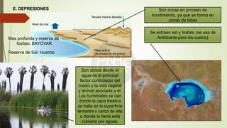 E. DEPRESIONES Son zonas en proceso de
hundimiento, ya que se forma en
zonas de fallas
Se extraen sal y fosfato (se usa de
fertilizante para los suelos)
Son zonas donde el
agua es el principal
factor controlador del
medio y la vida vegetal
y animal asociada a él.
Los humedales se dan
donde la capa freática
se halla en la superficie
terrestre o cerca de ella
o donde la tierra está
cubierta por aguas.
Mas profunda y reserva de
fosfato: BAYOVAR
Reserva de Sal: Huacho
 