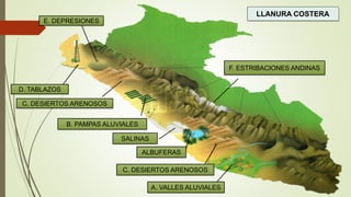 LLANURA COSTERA
E. DEPRESIONES
D. TABLAZOS
A. VALLES ALUVIALES
C. DESIERTOS ARENOSOS
C. DESIERTOS ARENOSOS
B. PAMPAS ALUVIALES
SALINAS
ALBUFERAS
F. ESTRIBACIONES ANDINAS
 