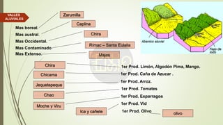 VALLES
ALUVIALES
Mas boreal.
Mas austral.
Mas Occidental.
Mas Contaminado
Mas Extenso.
1er Prod. Limón, Algodón Pima, Mango.
1er Prod. Caña de Azucar .
1er Prod. Arroz.
1er Prod. Tomates
1er Prod. Esparragos
1er Prod. Vid
1er Prod. Olivo
Zarumilla
Caplina
Chira
Rímac – Santa Eulalia
Majes
Chira
Jequetepeque
Chicama
Chao
Moche y Viru
Ica y cañete olivo
 