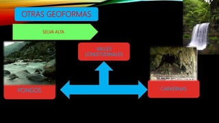 Geomorfologia de la selva | PPTX