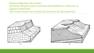 Bloques diagramas de cuestas.
(a) Frente abrupto y poco recortado desarrollado en calizas de un
espesor importante.
(b) Frente sinuoso con comisas de areniscas de poca potencia.
 