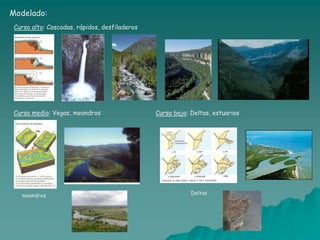 Modelado:
 Curso alto: Cascadas, rápidos, desfiladeros




 Curso medio: Vegas, meandros                  Curso bajo: Deltas, estuarios




   meandros                                                Deltas
 