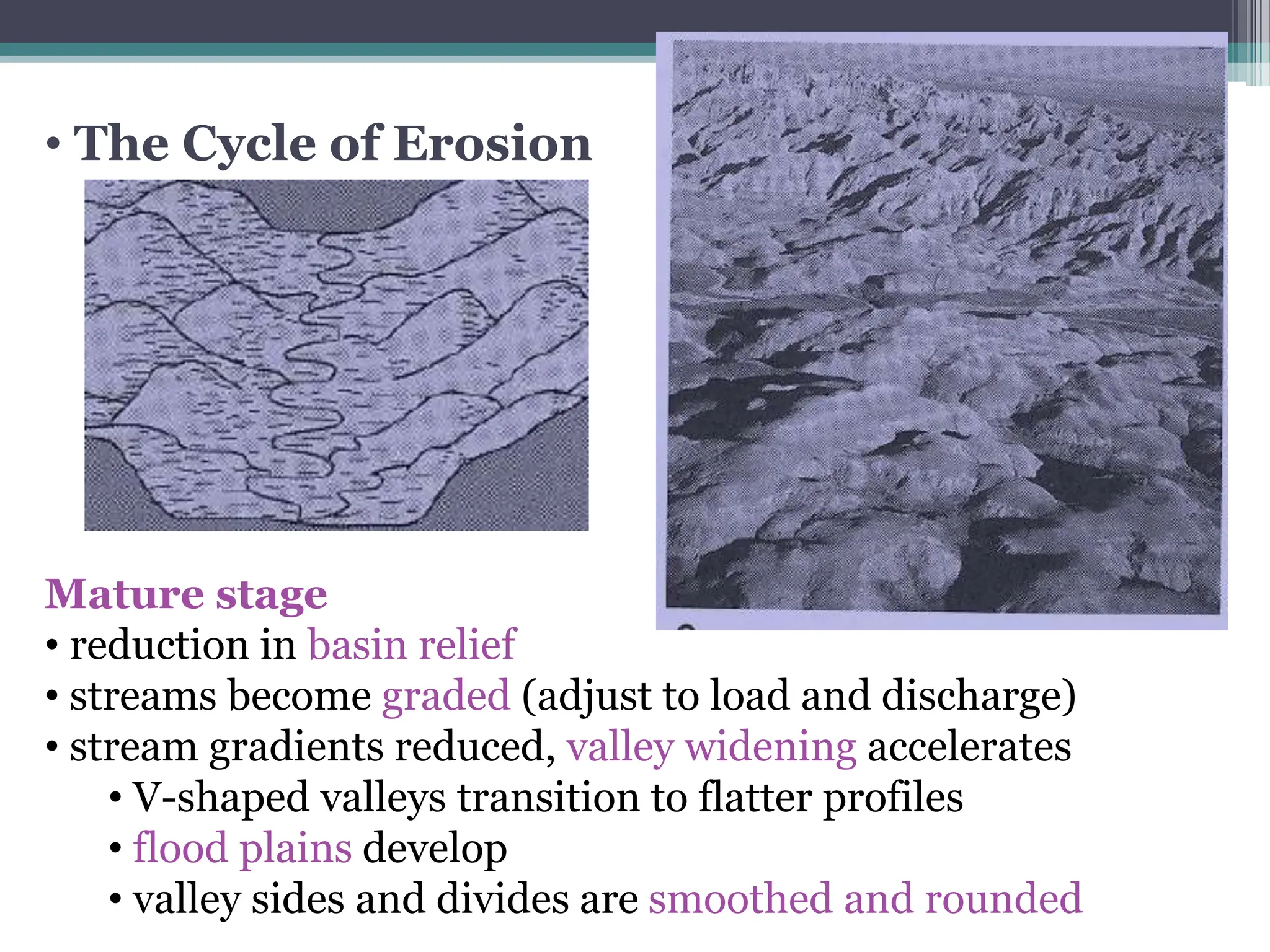 • The Cycle of Erosion
Mature stage
• reduction in basin relief
• streams become graded (adjust to load and discharge)
• stream gradients reduced, valley widening accelerates
• V-shaped valleys transition to flatter profiles
• flood plains develop
• valley sides and divides are smoothed and rounded
 