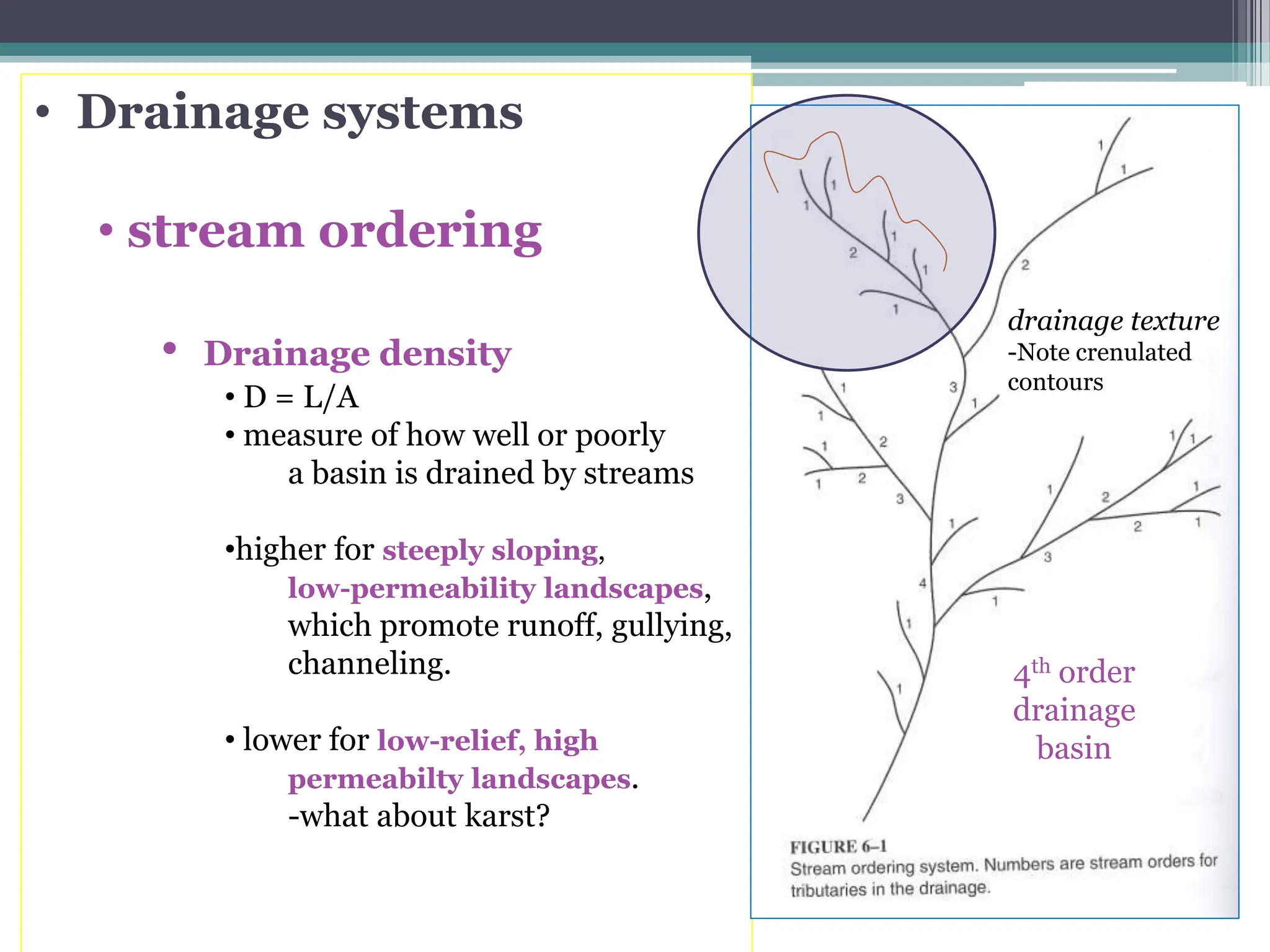 • Drainage systems
• stream ordering
• Drainage density
• D = L/A
• measure of how well or poorly
a basin is drained by streams
•higher for steeply sloping,
low-permeability landscapes,
which promote runoff, gullying,
channeling.
• lower for low-relief, high
permeabilty landscapes.
-what about karst?
4th order
drainage
basin
drainage texture
-Note crenulated
contours
 