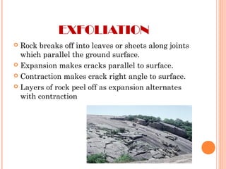 EXFOLIATION
 Rock breaks off into leaves or sheets along joints
which parallel the ground surface.
 Expansion makes cracks parallel to surface.
 Contraction makes crack right angle to surface.
 Layers of rock peel off as expansion alternates
with contraction
 