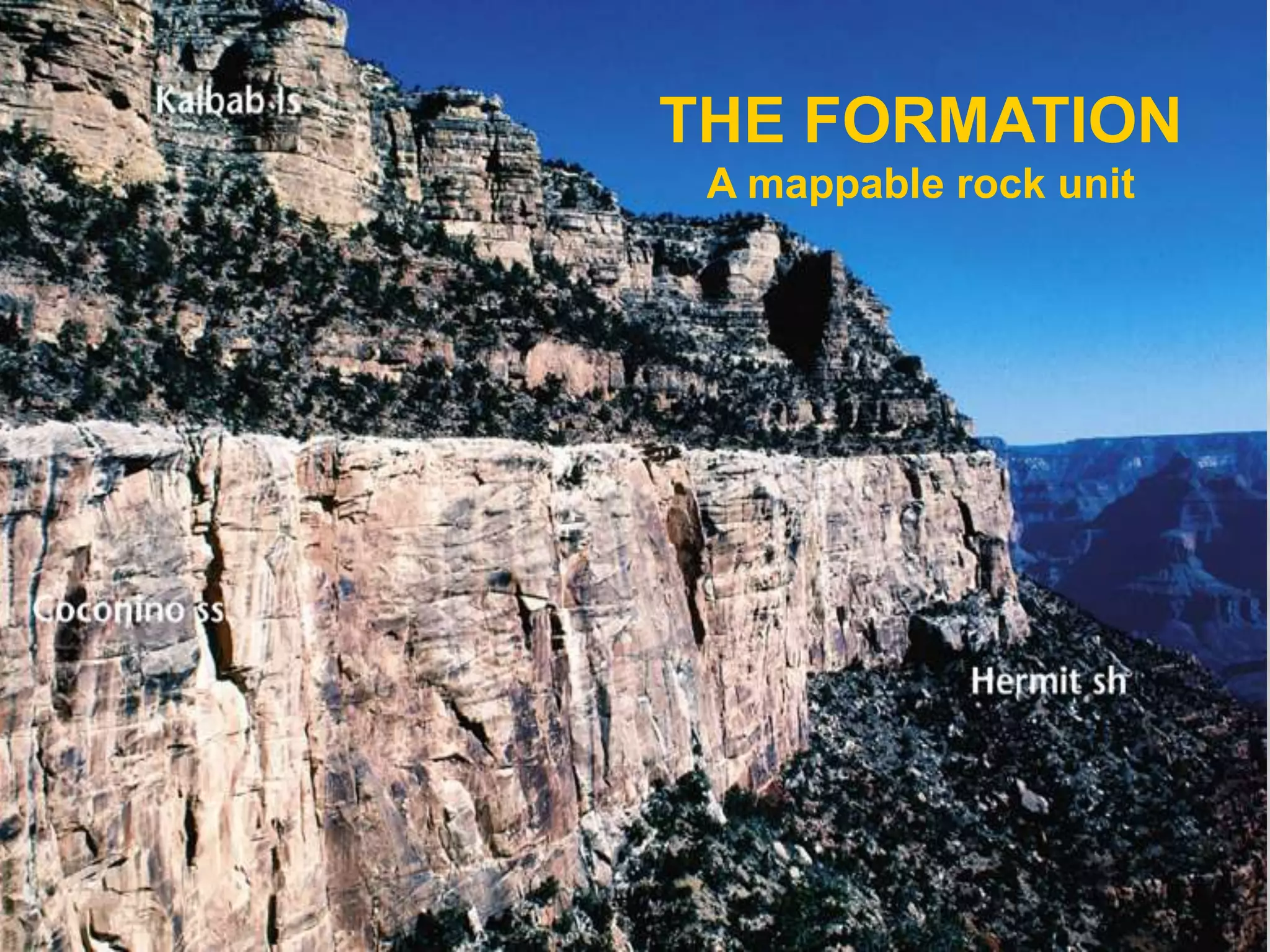 THE FORMATION
A mappable rock unit

 