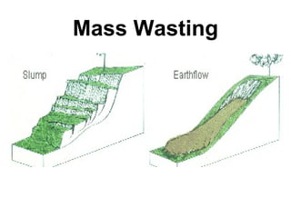 Geomorphological processes