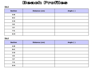 Section Distance (cm) Angle ( )
A-B
B-C
C-D
D-E
E-F
F-G
G-H
Site 3
Section Distance (cm) Angle ( )
A-B
B-C
C-D
D-E
E-F
F-G
G-H
Site 4
 