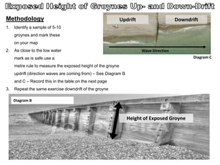 Methodology
1. Identify a sample of 5-10
groynes and mark these
on your map
2. As close to the low water
mark as is safe use a
metre rule to measure the exposed height of the groyne
updrift (direction waves are coming from) – See Diagram B
and C – Record this in the table on the next page
3. Repeat the same exercise downdrift of the groyne
Wave Direction
Updrift Downdrift
Height of Exposed Groyne
Diagram C
Diagram B
 