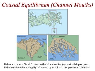 Coastal Equilibrium (Channel Mouths)
Deltas represent a “battle” between fluvial and marine (wave & tidal) processes.
Delta morphologies are highly influenced by which of these processes dominates.
 