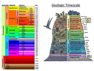 Geologic Timescale
 