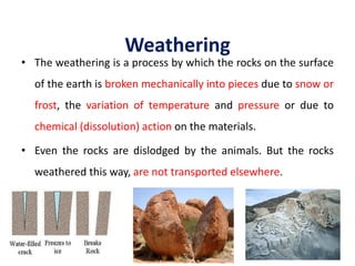 Weathering
• The weathering is a process by which the rocks on the surface
of the earth is broken mechanically into pieces due to snow or
frost, the variation of temperature and pressure or due to
chemical (dissolution) action on the materials.
• Even the rocks are dislodged by the animals. But the rocks
weathered this way, are not transported elsewhere.
42
 