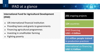 2 IFAD at a glance
International Fund for Agricultural Development
(IFAD)
● UN international financial institution
● Providing loans and grants to governments
● Financing agricultural programmes
● Investing in smallholder farming
● Fighting poverty
231 ongoing projects
124 countries
IFAD financing
USD > 6 billion
2.6 million people trained
in production practices
International co-financing
USD 3.3 billion
 