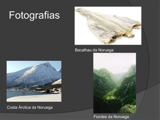 Fotografias


                           Bacalhau da Noruega




Costa Árctica da Noruega

                                    Fiordes da Noruega
 