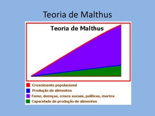 Teoria de Malthus
 
