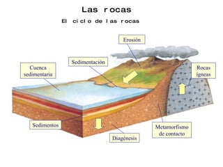 Las rocas El ciclo de las rocas Erosión Sedimentos Sedimentación Diagénesis Cuenca sedimentaria Metamorfismo de contacto Rocas ígneas 