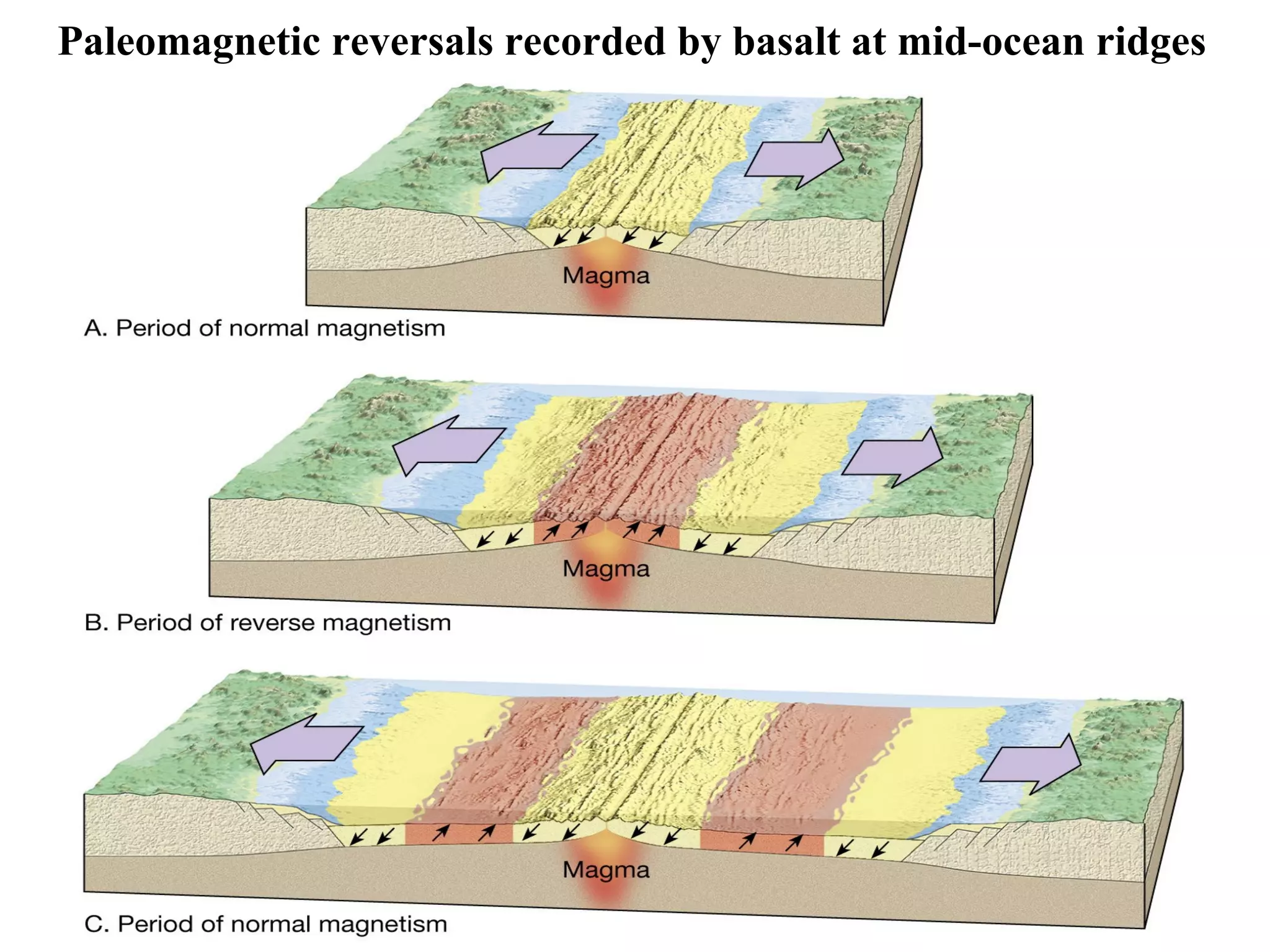 Paleomagnetic reversals recorded by basalt at mid-ocean ridges

46

 